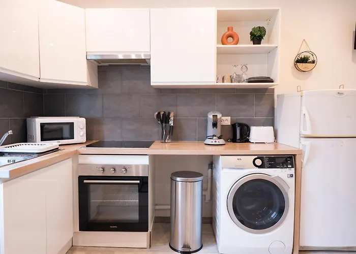 Instant Pyreneen Lourdes