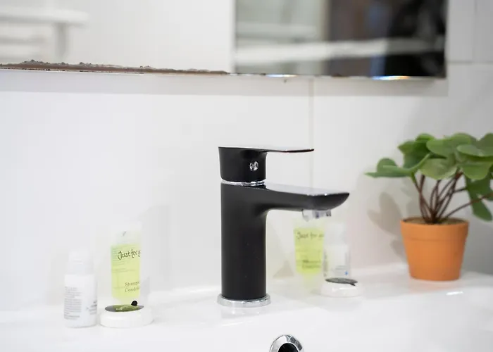 Instant Pyrénéen * Lourdes